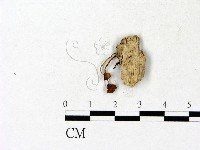 登錄號:F0023146藏品圖，第1張