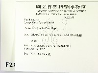 登錄號:F0023149藏品圖，第2張