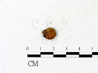 登錄號:F0023149藏品圖，第3張
