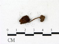 登錄號:F0023150藏品圖，第1張