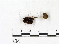 登錄號:F0023150藏品圖，第3張