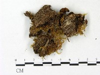 登錄號:F0023150藏品圖，第4張