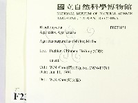 登錄號:F0023151藏品圖，第2張