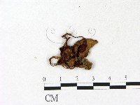 登錄號:F0023152藏品圖，第3張