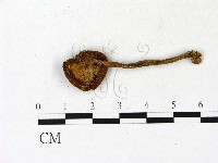 登錄號:F0023154藏品圖，第3張