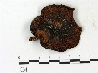 登錄號:F0023155藏品圖，第1張