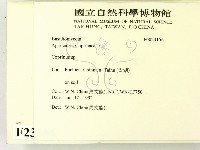 鬼傘屬藏品圖，第2張