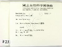 登錄號:F0023157藏品圖，第2張