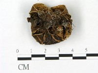 登錄號:F0023157藏品圖，第3張