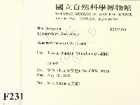 登錄號:F0023159藏品圖，第2張