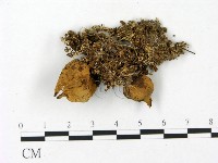 登錄號:F0023159藏品圖，第3張