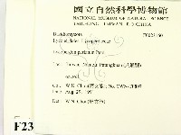 登錄號:F0023160藏品圖，第2張