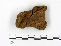 登錄號:F0023161藏品圖，第1張
