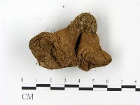 登錄號:F0023161藏品圖，第3張