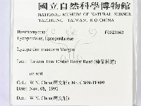 登錄號:F0023162藏品圖，第2張