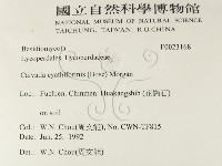 登錄號:F0023168藏品圖，第2張