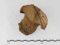 登錄號:F0023168藏品圖，第1張