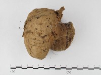 登錄號:F0023168藏品圖，第3張