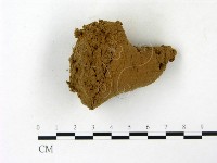 登錄號:F0023169藏品圖，第1張