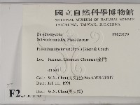 登錄號:F0023170藏品圖，第2張