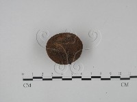 登錄號:F0023170藏品圖，第1張