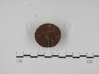 登錄號:F0023170藏品圖，第3張