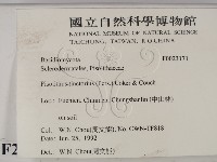 館號:F0023171藏品圖，第2張