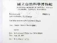 登錄號:F0023172藏品圖，第2張