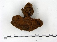 登錄號:F0023172藏品圖，第1張