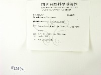 登錄號:F0023174藏品圖，第2張