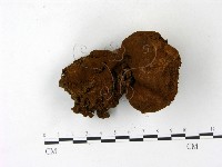登錄號:F0023174藏品圖，第1張