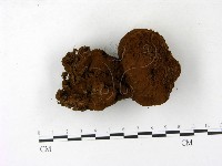 登錄號:F0023174藏品圖，第3張