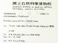 登錄號:F0023175藏品圖，第2張