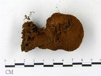 登錄號:F0023175藏品圖，第3張