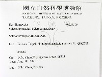 登錄號:F0023176藏品圖，第2張