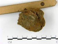 登錄號:F0023176藏品圖，第3張