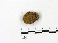 登錄號:F0023177藏品圖，第1張