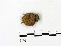 登錄號:F0023177藏品圖，第3張