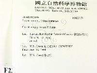 登錄號:F0023178藏品圖，第2張