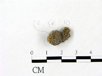 登錄號:F0023178藏品圖，第1張