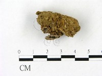 登錄號:F0023179藏品圖，第3張