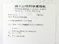 松生擬層孔菌藏品圖，第2張