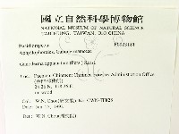 登錄號:F0023181藏品圖，第2張