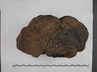 登錄號:F0023181藏品圖，第4張