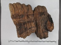 登錄號:F0023181藏品圖，第5張