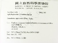 登錄號:F0023182藏品圖，第2張