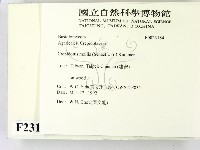 登錄號:F0023184藏品圖，第2張