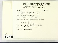 登錄號:F0023185藏品圖，第2張