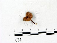 登錄號:F0023185藏品圖，第1張