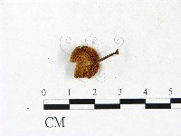登錄號:F0023185藏品圖，第3張